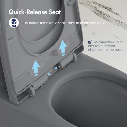 Elongated One Piece Toilet, ADA Dual Flush 1.1/1.6 GPF, Dark Gray | ADA 17" chair height, Powerful siphon dual flush, 12" rough-in, Bathroom toilet bowl, comfort soft closing seat, Gray toilets - color: Dark Gray