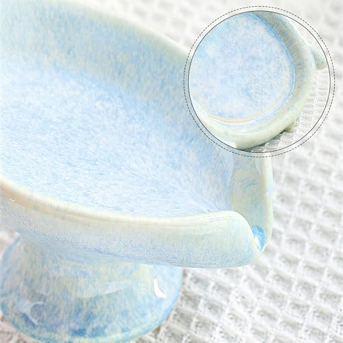 Ceramic Drain Soap Dish - Glacier Blue Leaf Self Draining Bar Soap Holder, Colorfast Stain Resistant Soap Saver for Bathroom & Kitchen, Shower, Sink, Easy Clean
