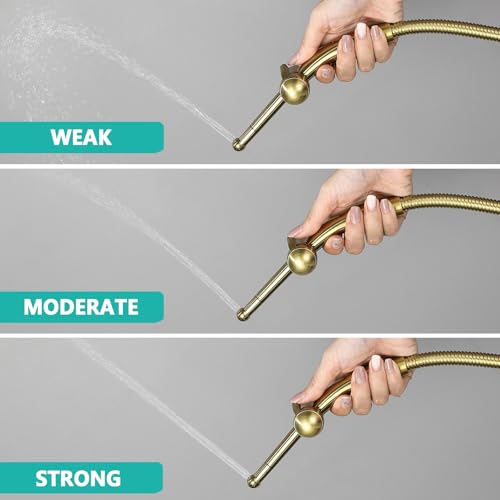 BARROCK Bidet Sprayer for Existing Toilet, Advanced Handheld Ergonomic Jet Spray Set with Precision Water Pressure Control for Muslim Shower/Feminine Hygiene/Pet Cleaning, Brushed Gold - color: Brushed Gold