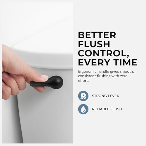 Qualihome Matte Black Finish Side Mount Toilet Handle Replacement Kit, Universal Toilet Tank Flush Lever Fits Most Standard Side-Mount Toilet Tanks - color: Black