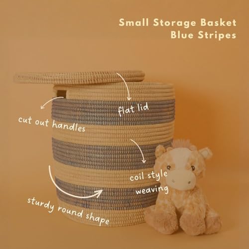 Small Blue Toy Storage Bin with Lid, Nursery, Boys Room, 16 Inch Tall, 16 Inch Wide - color: Small