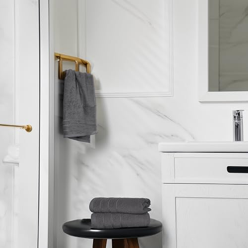 6 Piece Hand Towels Set 16 x 28 Inches, Dark Grey | 100% Cotton, Lighter Weight, Quick to Dry, 16 x 28 Inches, Super Soft & Absorbent, Perfect for Bathroom & Kitchen - color: Dark Grey