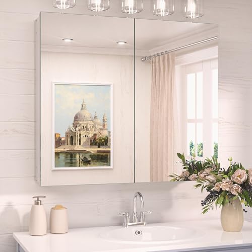 TokeShimi 30 x 26 Silver Aluminum Medicine Cabinet Mirror for Bathroom Surface Mount or Recessed with Stepless Adjustable Shelves Modern Farmhouse - color: Silver, size: 30x26 in