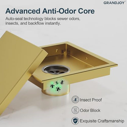 6 Inch Square Shower Floor Drain, Brushed Gold SUS304 Stainless Steel Grid Grate with X-Shaped High Flow Channel, Anti-Clogging Hair Strainer, Standard 2" Outlet | Reversible flat & tile-in cover, anti-odor auto-seal core, burr-free smooth edges for baref