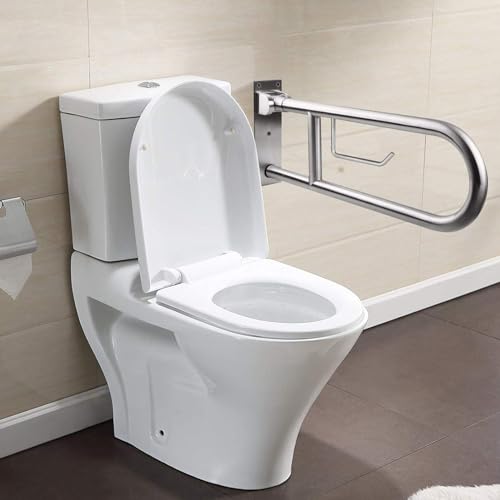 Toilet Grab Bar Stainless Steel Handicap Rails Grab Bars Bathroom Support for Elderly Disabled Safety Hand Railing Guard Frame Shower Assist Aid Handrails Hand Grips (23.6 Inches with Paper Holder) - size: 23.6 Inches with Paper Holder