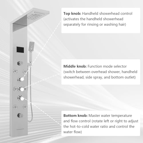 6-in-1 LED Shower Panel Tower System with 8 Adjustable Body Jets, Rainfall & Waterfall Shower, Smart Temperature Display, 59" Hose, Brushed Gold Stainless Steel, Wall Mounted (Silver) - color: Silver