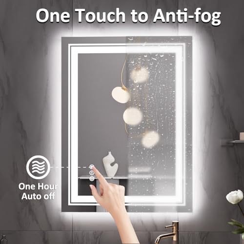 Snowdool 28 x 20 in LED Bathroom Mirror, Front and Backlit, Anti-Fog | Front and Backlit, Stepless Dimming, Anti-Fog, Memory Function - size: 28"L x 20"W