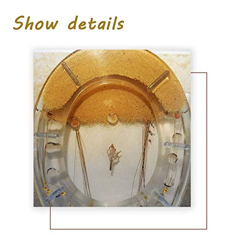 Quick-Release Hinges Round-front Toilet Seat in White