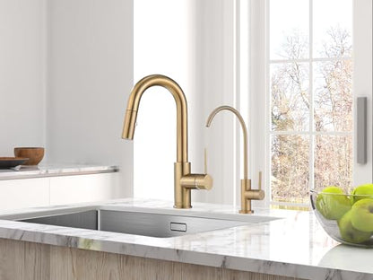 AS59CPBS Champagne Bronze Bar Faucet or Prep Kitchen Sink Faucet with Pull Down Sprayer and Single Handle - color: Champagne Bronze, style: Classic