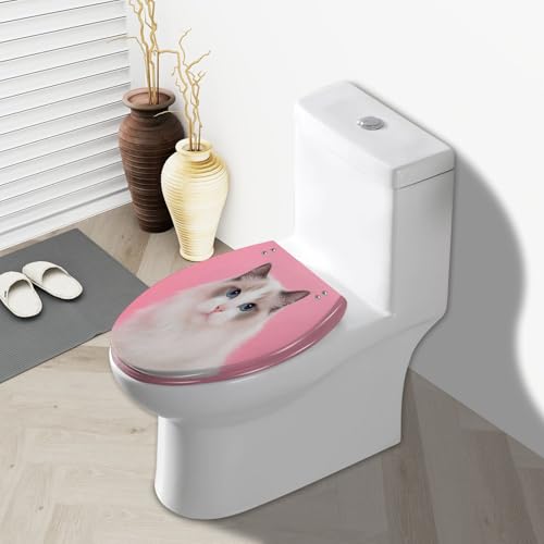 Elongated Toilet Seat Portrait beautiful purebred ragdoll cat blue eyes looking camera her Resin Toilet Seat Slow Quiet Close with Quick-Release Hinges Toilet Seat with Cover Easy to Clean Install - color: Multi7, size: 19.5"x14.5"