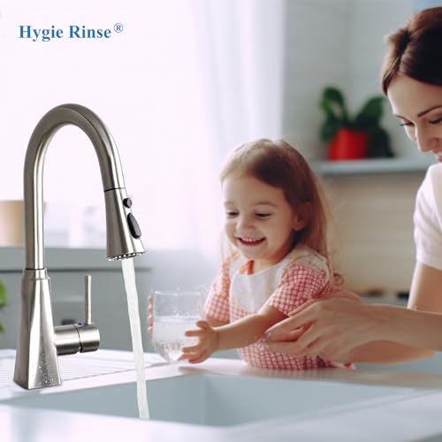 Kitchen Faucet Head Replacement with 15 Adapter Kit, Brushed Nickel | Compatible with American Standard/Kohler/Moen/Delta Faucets, 3 Function Pull Down Sink Faucet Spray Head