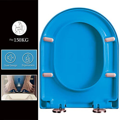 D Shaped Soft Close Quick Release Toilet Seat with 360 Adjustable Hinges Easy to Clean Polypropylene Bathroom Loo Seat - color: Blue