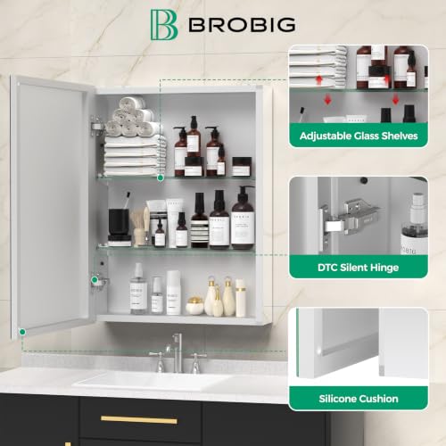 14 x 18 Aluminum Medicine Cabinet Mirror, Moisture & Rust Resistant Bathroom Wall Cabinet with Mirror, Recessed or Surface Mount with Adjustable Shelves, Tempered Glass & Soft Close Hinges - size: 18"L x 14"W