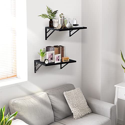 Tectocker-DOU 2 Pc Deep Floating Wall Shelves, Heavy Duty, 16x12, Black | Easy Install, All Hardware Included. Holds 40 Lbs. Easy-Clean. For Living Room, Kitchen, Bathroom, Bedroom, Office. - color: Black, size: 16W×12D