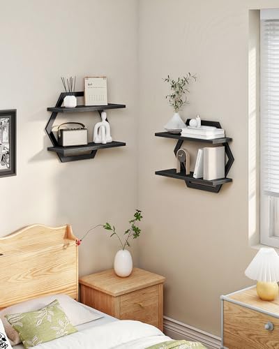Hexagon Floating Shelves for Wall, Set of 2, 2 -Tier Hanging Shelves, Wall Mounted Storage Shelves, for Living Room, Bedroom, Kitchen, Home Office, Study, Black TBJ06P2BB - color: Black
