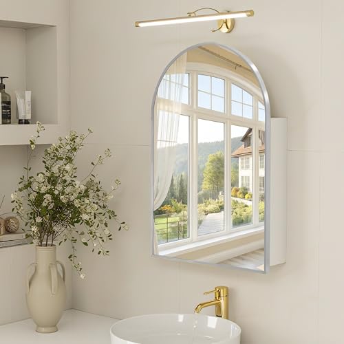 Arched Medicine Cabinet with Mirror,Silver Bathroom Mirrored Medicine Cabinet Organizer,Bath Vanity Mirror with Storage,Aluminum Wall Mount with Adjustable Shelves,20 x30 inch - color: Silver, size: 30"L x 20"W