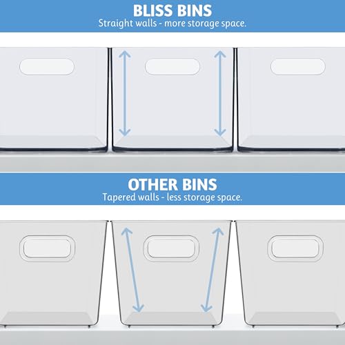 STORi Bliss 10" x 6" Open Clear Pantry Organizer Bin, Plastic Containers with Handle for Kitchen, Fridge, Cabinet, Closet, Bathrom, Undersink Storage Made in USA - style: Set of 1