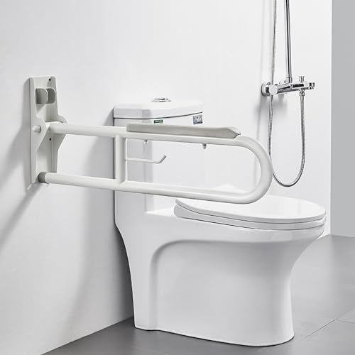 27.6 INCH Stainless Toilet Safety Rails, Disabled Flip-Up Bathroom Grab Bar with Paper Holder, Toilet Handrails Hand Grips Handle Shower Assist Aid, Handicap Grab Bars for Elderly(Gray:Gray) - color: Gray
