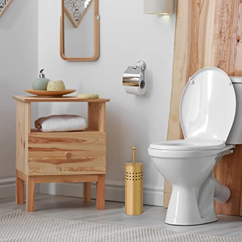 Blue Donuts Toilet Plunger with Holder for Bathroom, Multi Drain Suitable Also for Bathtubs, Quick Dry, Gold - color: Gold