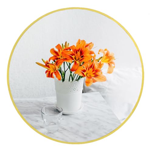 Small Round Mirror, 16 inch Gold Circle Mirror, Gold Metal Frame | High Definition, Waterproof, Rust-resistant, Circular Wall Mirrors for Bathroom, Bedroom, Vanity, Nursery, Kids, Wall Décor - color: Gold, size: 16"L x 16"W