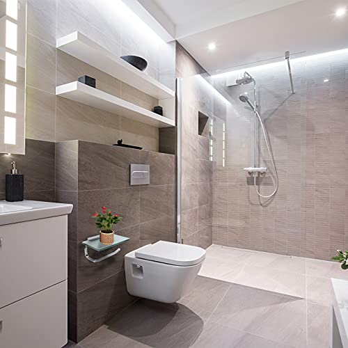 Toilet Paper Holder Bathroom Paper Toilet Roll Holder Hanger,Toilet Paper Holder with Shelf, Glassed Steel Frosted Silvery Lavatory Tissue Holder with Mobile Phone Storage Rack (Silvery) - color: Silvery