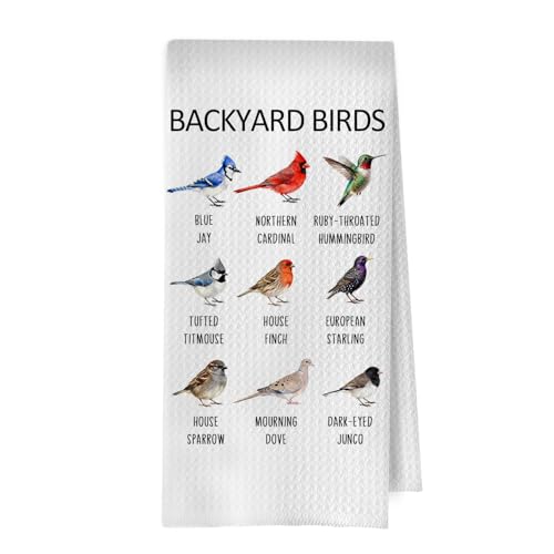 Birds Gifts Kitchen Towels - Birdwatching Graphic Decorative Waffle Dish Towels, Birds Gifts Hand Towel, Bird Gift Tea Towel, 16x24 Inch - color: Birdwatching-06