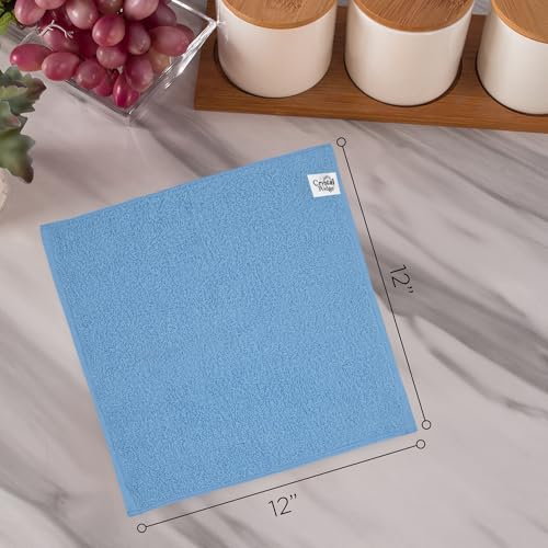 Crystal Ridge Cotton Wash Cloths 24 Pack - Washcloths for Showering, Face and Body, Soft and Highly Absorbent Multipurpose Towels for Bathroom, Kitchen, Spa and Gym - Wash Rags 12 x12 (Lt Blue)