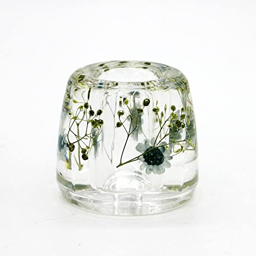 N&N Find Japan Japanese Toothbrush Holder Stand with Real Flower in Acrylic (Star Blue) - color: Star Blue