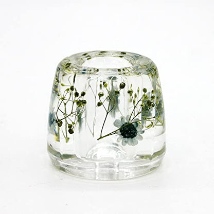 N&N Find Japan Japanese Toothbrush Holder Stand with Real Flower in Acrylic (Star Blue) - color: Star Blue