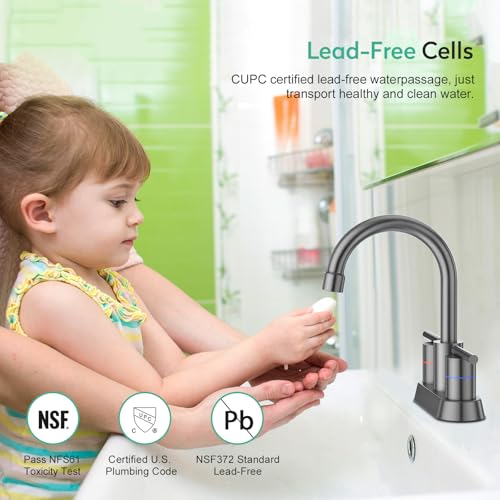Faustina Gery Bathroom Faucet, 4 Inch Centerset Faucet for Sink 2 Holes 3 Holes，Two Handles 304 Stainless Steel with Pup up Drain Assembly and 2 Water Supply Lines for RV Vanity - color: Gery, style: Modern Centerset