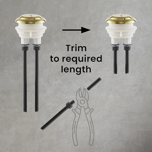Toilet Hardware Brushed Gold (SM-1T112) - color: Brushed Gold