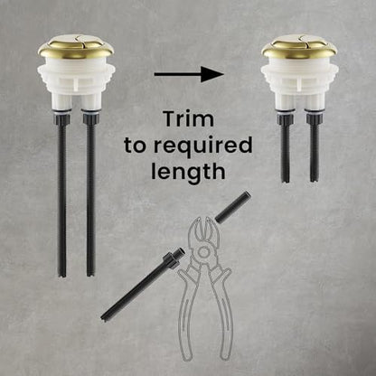 Toilet Hardware Brushed Gold (SM-1T112) - color: Brushed Gold