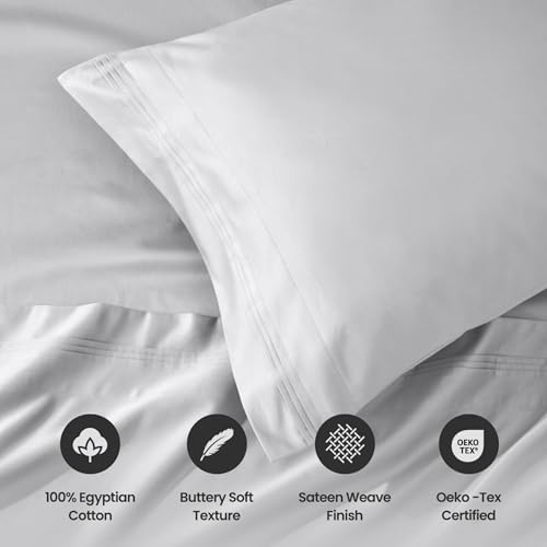 Superior Egyptian Cotton 4 Piece Sheet Set, Luxury 1000 Thread Count, Modern Design, Sustainable Sheets, Soft Basics, Solid, Deep Pocket Fitted Sheet, Flat Sheet, Pillowcases, Olympic Queen, Platinum - color: Platinum 01, size: Super Queen