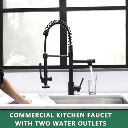 Fapully Black Kitchen Faucet,Commercial Pull Down Kitchen Sink Faucet | with Sprayer, 360 Swivel, 1.8GPM Water Flow - color: Matte Black, style: Classic