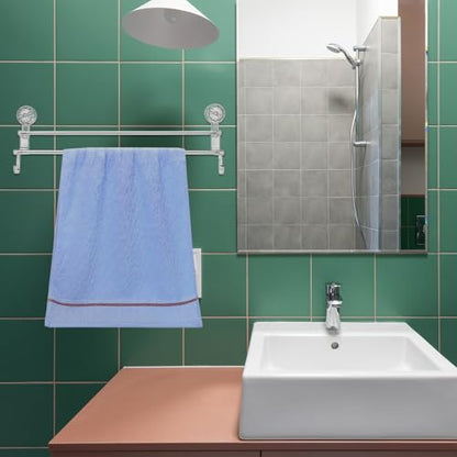 SEWACC Wall-Mount Double Rod Towel Rack with Suction Cups 58.8cm Gray Bathroom Towel Organizer and Holder with Hooks for Wet and Dry No Drilling Installation