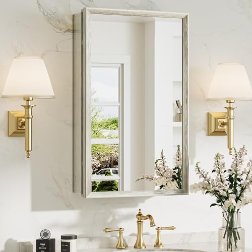 TokeShimi 14 x 24 Brushed Nickel Recessed Medicine Cabinet with Mirror, Assembly Required, Bathroom Medicine Cabinet with Mirror, Stepless Adjustable Shelves, Beveled Aluminum Frame, DTC Hinge - color: Brushed Nickel, size: 14x24 in