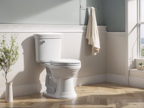 R&T B1095 Round Slow Close Plastic Toilet Seat 16.5" Quick-Release Hinges | Round toilet seat soft close - color: Round – Standard (330 lbs)
