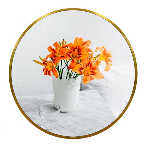 Small Round Mirror, 18 inch Gold Circle Mirror, Gold Metal Frame | High Definition, Waterproof, Rust-resistant, Circular Wall Mirrors for Bathroom, Bedroom, Vanity, Nursery, Kids, Wall Décor - color: Gold, size: 18"L x 18"W