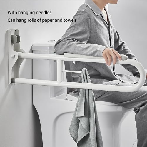 27.6 INCH Stainless Toilet Safety Rails, Disabled Flip-Up Bathroom Grab Bar with Paper Holder, Toilet Handrails Hand Grips Handle Shower Assist Aid, Handicap Grab Bars for Elderly(Gray:Gray) - color: Gray