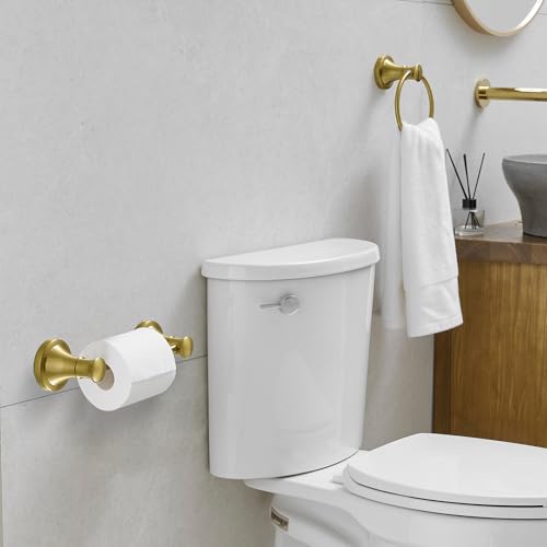 RUMOSE Pivoting Toilet Paper Holder and Hand Towel Ring, Brushed Gold | Wall Mount, Bathroom Hardware Accessories 2 PCS Set, Toilet Tissue Roll Holder & Towel Hanger, Rustproof, Stainless Steel - color: Brushed Gold