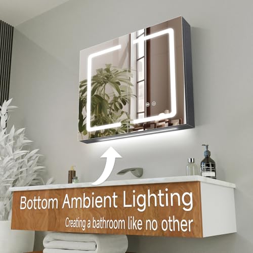 Black Bathroom Mirror Medicine Cabinets with LED Lights, Wall Mounted Mirror Medicine Cabinet with Adustable Shelf, Shaver Socket and Plug, 2 Doors, Anti Fog, Dimmable, Memory Function, 25.5 x 24 inch