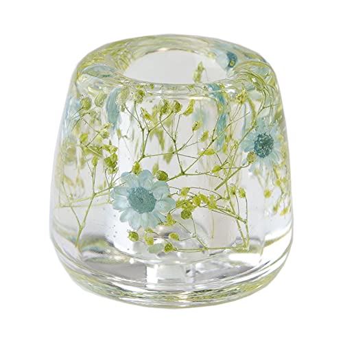 N&N Find Japan Japanese Toothbrush Holder Stand with Real Flower in Acrylic (Star Blue) - color: Star Blue