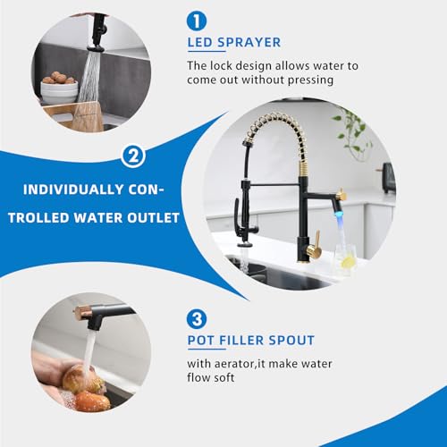 Fapully LED Kitchen Faucet with Pull Down Sprayer,Black&Gold | Commercial Kitchen Faucet for Kitchen Sink - color: Black&Gold, style: Modern