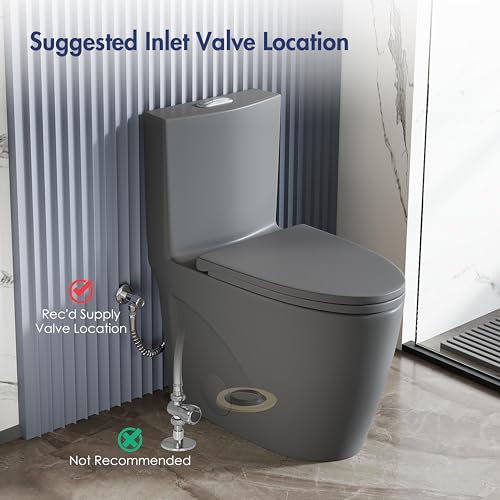 Elongated One Piece Toilet, ADA Dual Flush 1.1/1.6 GPF, Dark Gray | ADA 17" chair height, Powerful siphon dual flush, 12" rough-in, Bathroom toilet bowl, comfort soft closing seat, Gray toilets - color: Dark Gray