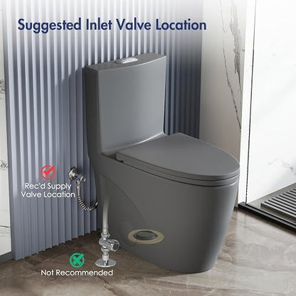 Elongated One Piece Toilet, ADA Dual Flush 1.1/1.6 GPF, Dark Gray | ADA 17" chair height, Powerful siphon dual flush, 12" rough-in, Bathroom toilet bowl, comfort soft closing seat, Gray toilets - color: Dark Gray