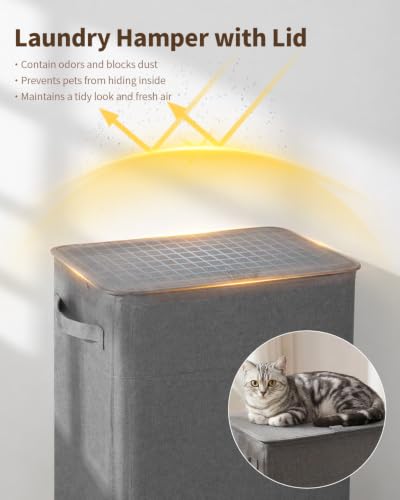 85L Laundry Hamper with Lid, Tall Dirty Clothes Hamper, Grey | Foot Loop & Removable Bag Easy to Lift and Carry, Tall & Collapsible Laundry Basket for Bathroom, Bedroom, Laundry Room, Dorm - color: Grey