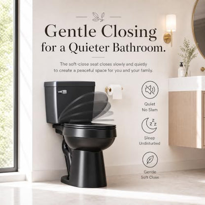 ELLAI Two Piece Elongated Toilets ADA Chair Comfort Height 17.24" Powerful Single Flush 1.28 GPF 12” Rough In with Side Trip Lever, Glossy Black 28.3"x17.2“x31"