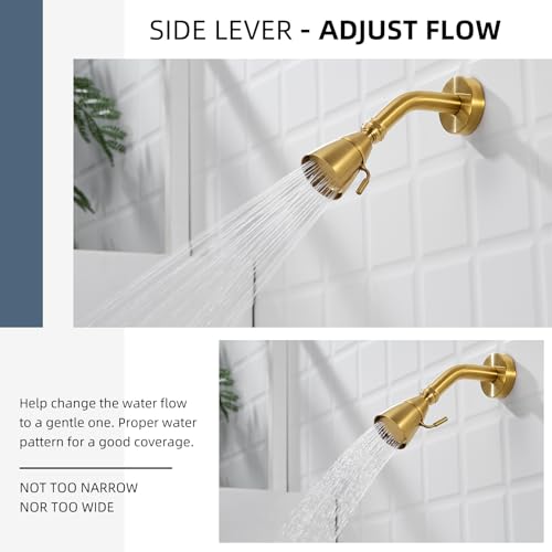 Angle Simple High Flow Shower Head Adjustable, G 1/2, Brushed Dark Gold | Brass, High Pressure Shower Sprayer for Outdoor, Adjustable Angle and Water Flow, No Flow Restrictor, Easy to Wash Clean - color: Brushed Dark Gold