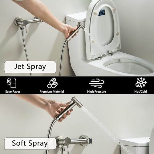 Warm Water Bidet Sprayer for Toilet with Hot and Cold Mixing Valve, Stainless Steel Wall Mount Round Handheld Bidet Attachment Set, Brush Nickel - color: Brushed Nickel