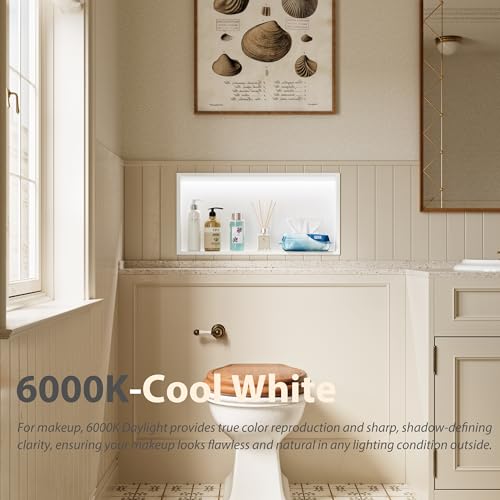 Qeke 24" X 12" Stainless Steel Shower Niche w/ 3 CCT Dimmable Light, White | No Tile Needed Wall Niche, Recessed Niche w/ Light(3000K/4000K/6000K), IP66 Waterproof, Space Saving & Durable - color: Matte White, size: 24" X 12"